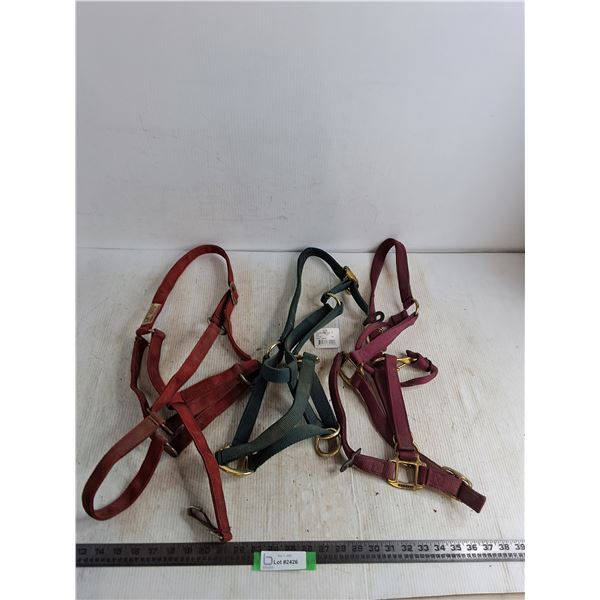 (3) Web Halters for Large Horses