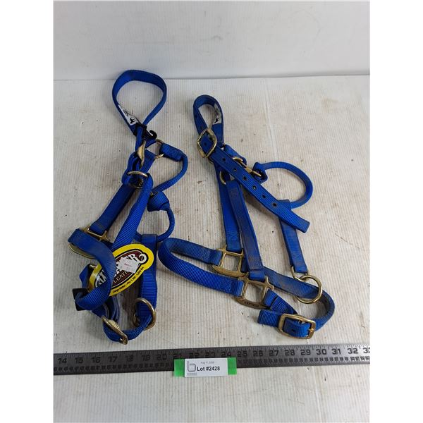 (2) Weaver Web Halters for Large Horses - 1 is Unused