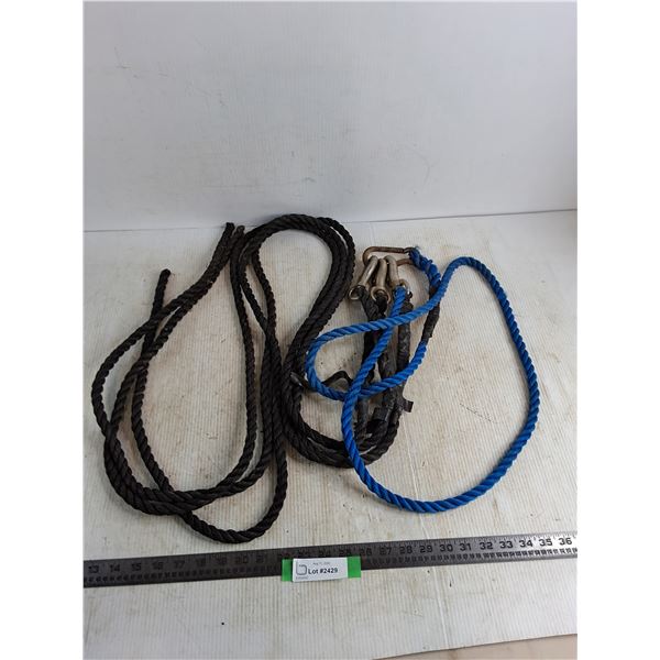 (4) Poly Lead Ropes