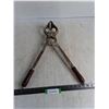 Image 1 : Castration Tool