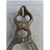 Image 2 : Castration Tool