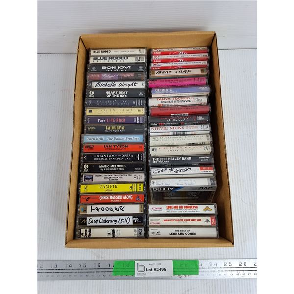 Assorted Audio Cassettes - Taylor Dayne, Heart Beat of the 80s, Tanya Tucker, Misc
