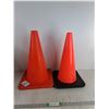 Image 1 : (2) Pylons 19"
