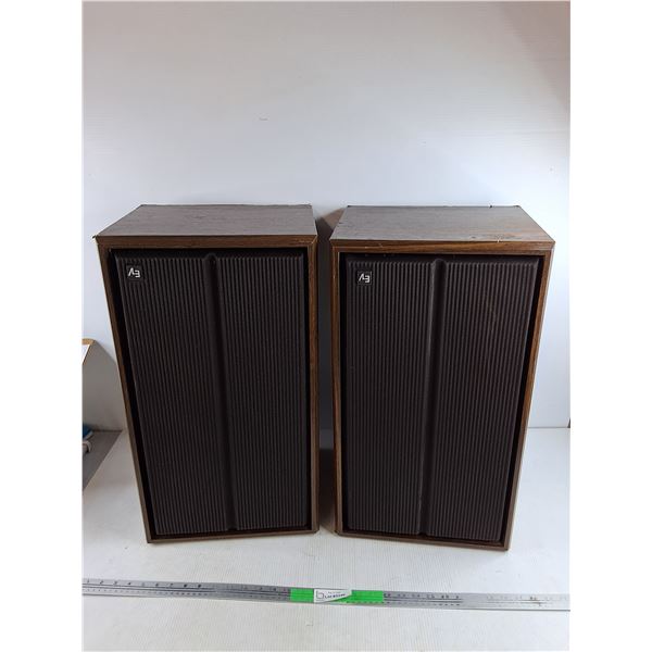 (2) AE Speakers 24" x 13" x 12", PICKUP ONLY