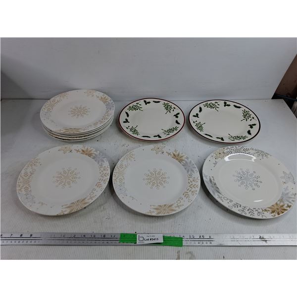 (10) Ceramic Dining Plates