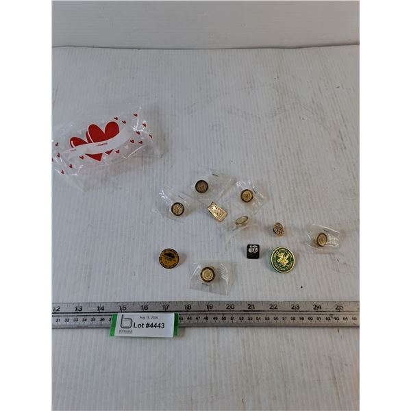 (11) Pins, Moose Jaw, Year of Volunteers, Crocus Theatre