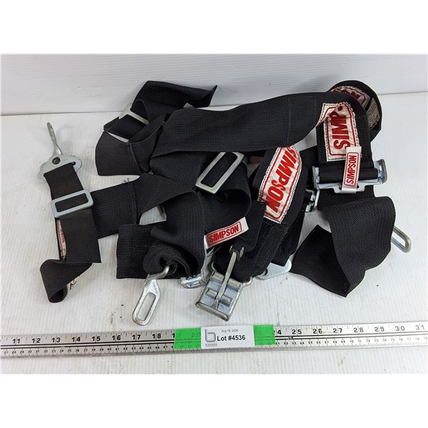 Simpson Harness