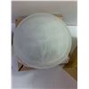 Image 4 : (2) Ceiling Lights - Appears New - LFI & Canarmna