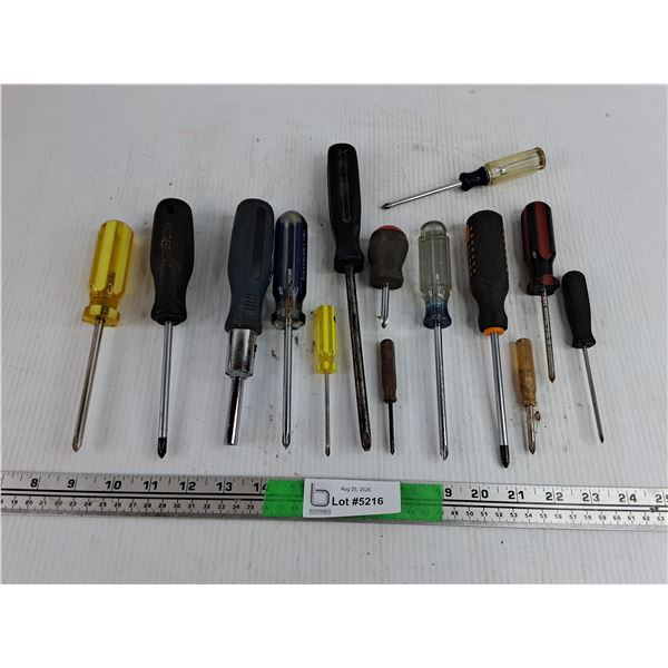 Philips Screwdrivers & Bit Driver