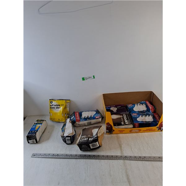 Assorted Lightbulbs, 100W, 60W, All Untested As-Is