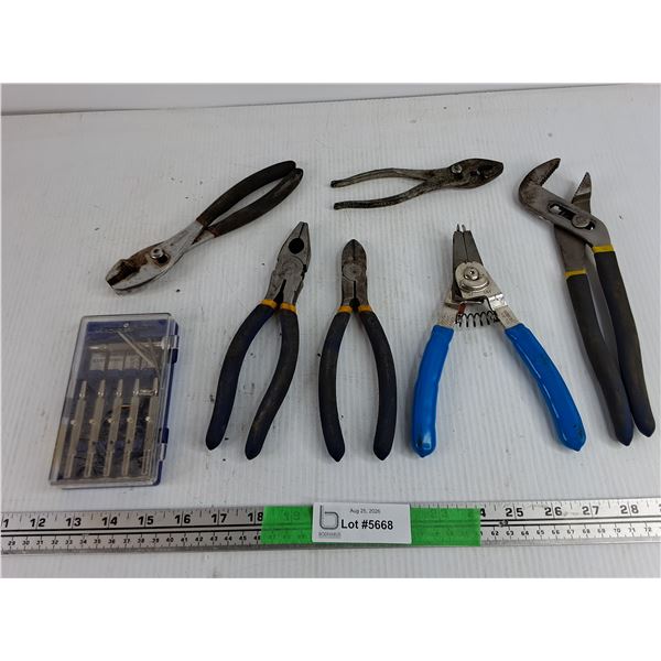 Precision Screwdrivers, Snap Ring Tool, Pliers