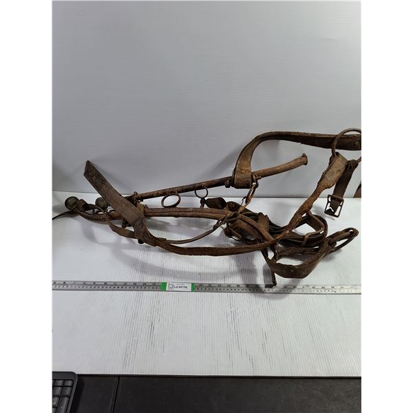 Vintage Horse Hames