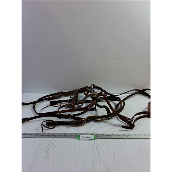Headstalls (2), Bridle