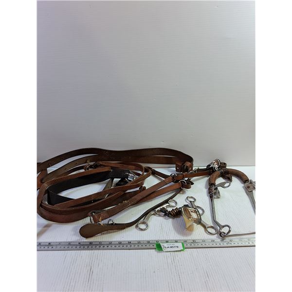 Breast Collar, Split Reins, Hackamore, Training Bit (Stainless Steel Snaffle)