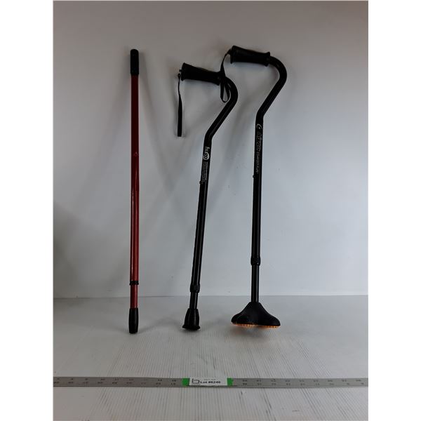 (2) Canes, Screw In Pole (Up to 31", as is)