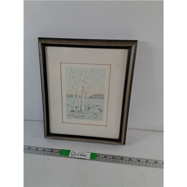 'Birches and Rocks- Two Clear Lake' Framed Print 13.25" x 11.5"