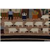 Image 8 : NAVAJO PICTORIAL TEXTILE ( JOANNE BEGAY)