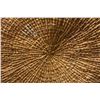 Image 7 : TLINGIT BASKET