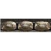 Image 4 : NAVAJO CONCHO BELT (N)
