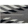 Image 26 : NAVAJO TEXTILE