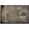 Image 3 : NAVAJO BUCKLE (JIM HARRISON)