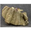 Image 4 : NAVAJO MEDICINE BUNDLE