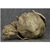 Image 6 : NAVAJO MEDICINE BUNDLE