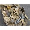 Image 8 : NAVAJO MEDICINE BUNDLE