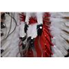 Image 12 : CHEYENNE  HEADDRESS (CHIEF JAMES DANIEL “JIMMIE” LITTLE COYOTE)