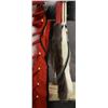 Image 21 : CHEYENNE  HEADDRESS (CHIEF JAMES DANIEL “JIMMIE” LITTLE COYOTE)