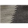 Image 15 : NAVAJO TEXTILE