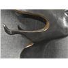 Image 11 : CHIRICAHUA APACHE BRONZE (ALLAN CAPRON HOUSER OR HAOZOUS)