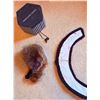 Image 5 : Simpsons-Sears Fur Collar and Mad Hatter Modern Fur Mount Hat
