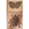 Image 3 : Stone Insect Relief Tiles