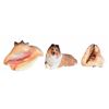 Image 2 : Two Large Sea Shells and Ceramic Collie Dog Figure