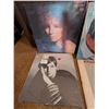 Image 5 : 10 Assorted Pop Vocal LP Records