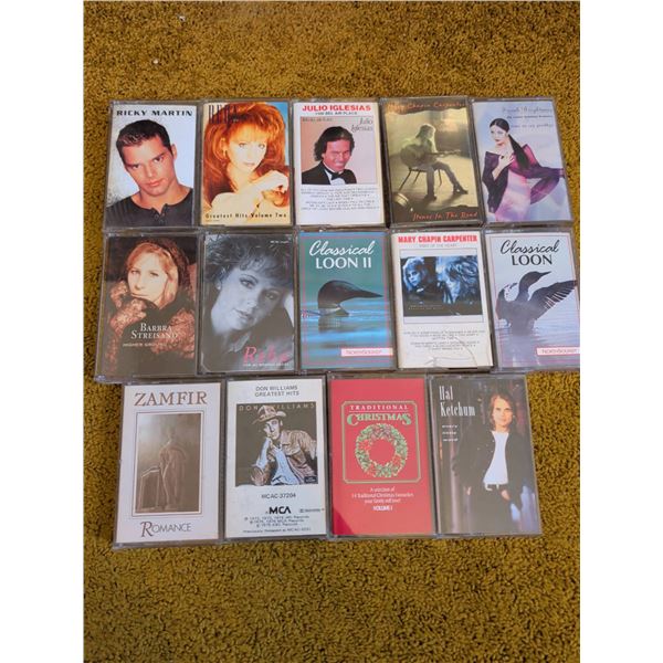 14 Music Cassette Tapes: Ricky Martin, Barbra Streisand, More