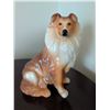 Image 3 : Kingston Pottery England Collie Dog Figurine With Book and Photo