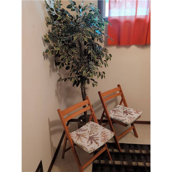 Wood Folding Chairs with Cushions and Artificial Ficus Plant