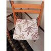 Image 4 : Wood Folding Chairs with Cushions and Artificial Ficus Plant