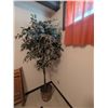 Image 8 : Wood Folding Chairs with Cushions and Artificial Ficus Plant
