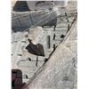 Image 3 : Multiple Concrete Pier or Deck Blocks
