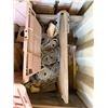 Image 21 : Contents of Container: Shelving  Units, Tools, Brackets, Clamps, Landscape Tools, Cords, Hardware, e