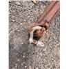 Image 14 : Truss Boom Jib Attachment 20"W, 183"L
