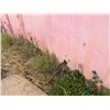 Image 6 : Red 20' Shipping Container (contents not included) - pickup the week after auction ends