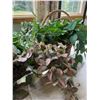Image 4 : Decorative Artificial Plants