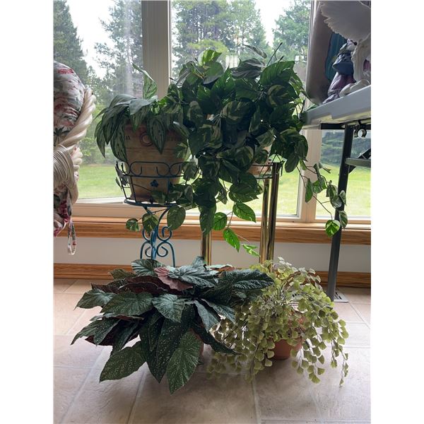 Three Potted Houseplants