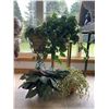 Image 1 : Three Potted Houseplants
