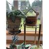 Image 4 : Three Potted Houseplants