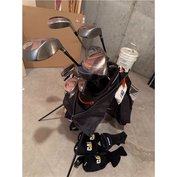 Top Flite Golf Bag With Clubs Assortment